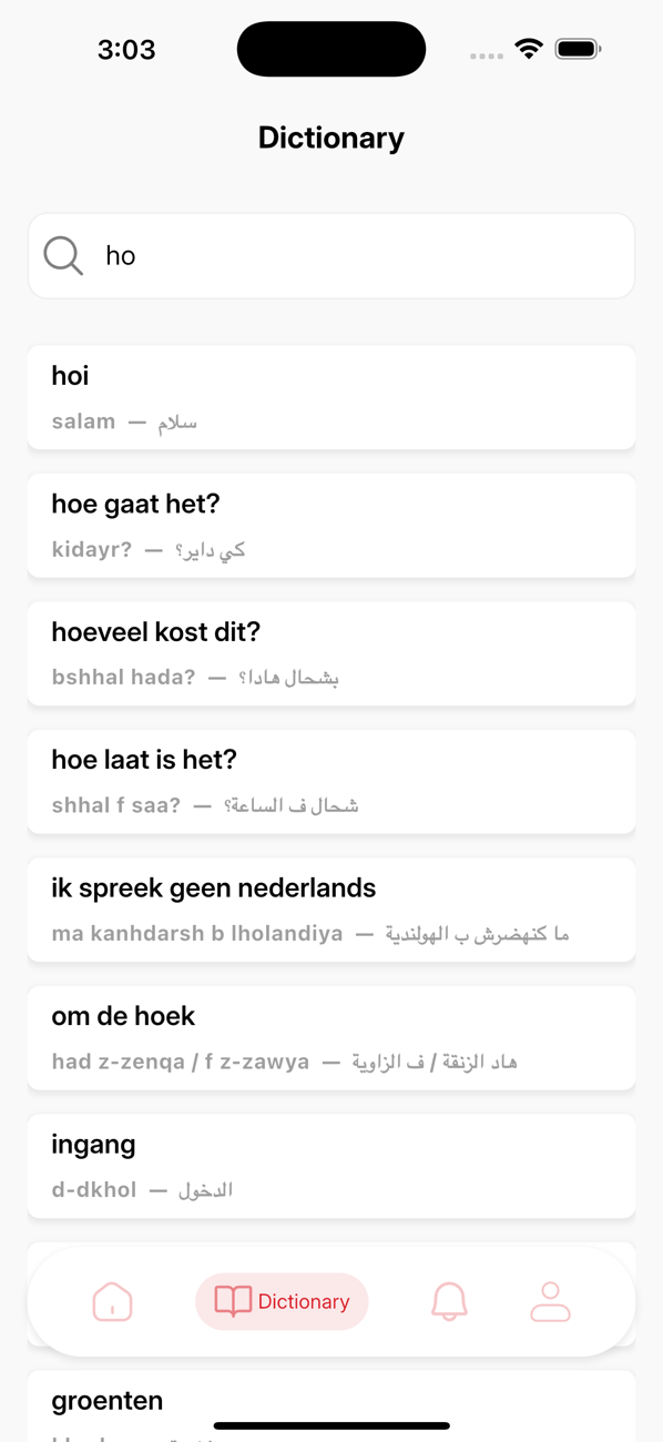 Dictionary screen